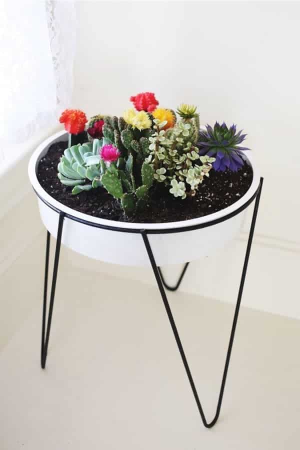 Vintage Cactus Planter Stand