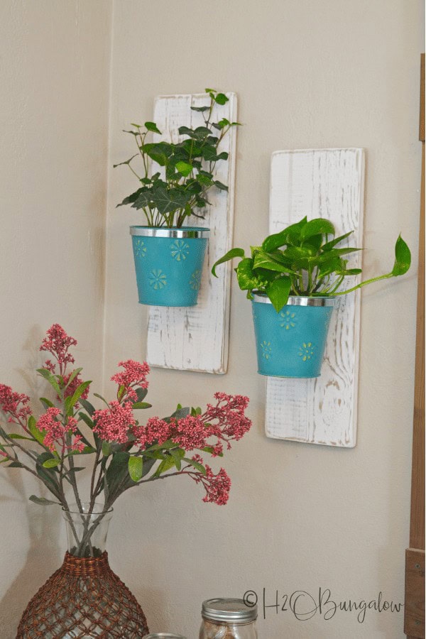 Dollar Store Pail Planters