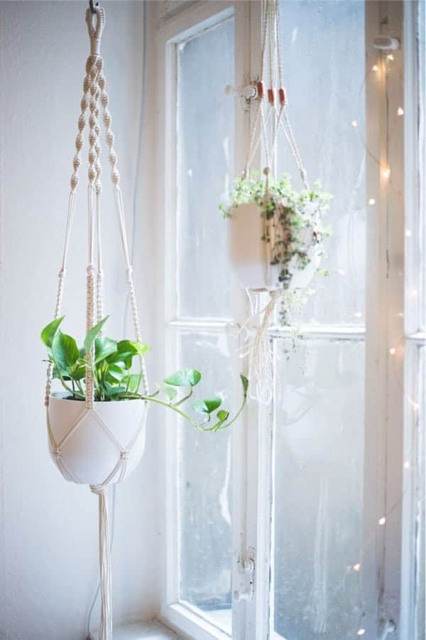 DIY Hangers For Indoor Plants