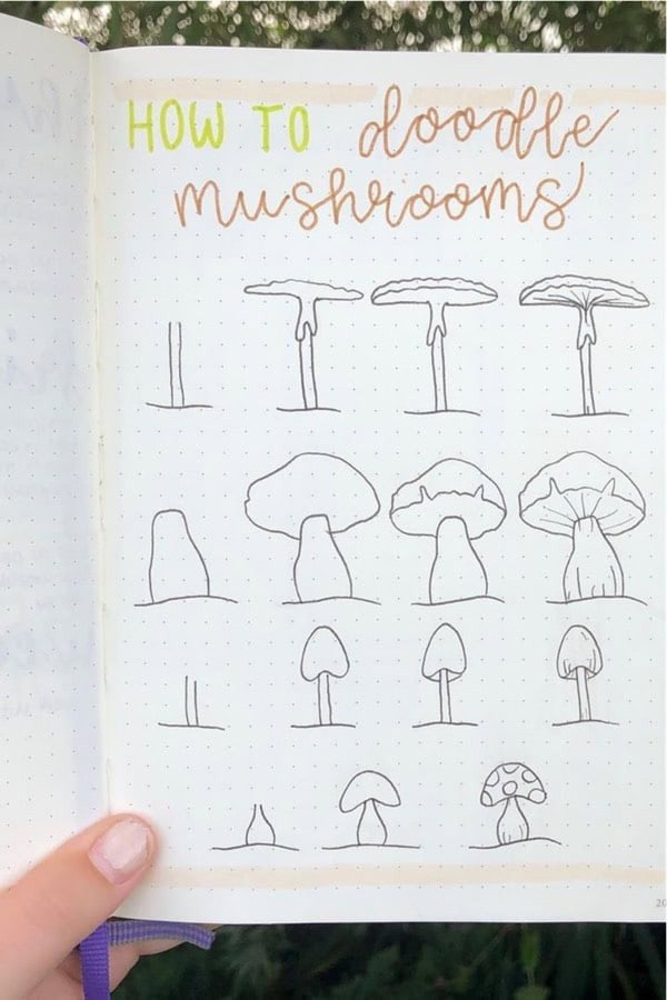 Mushroom Step By Step Doodles