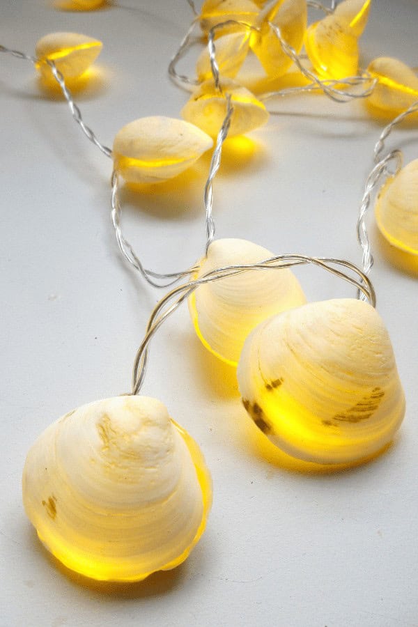 Seashell String Lights