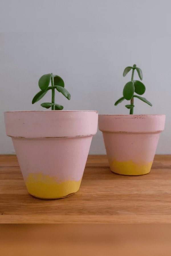 Chalk Paint Terracotta Pots