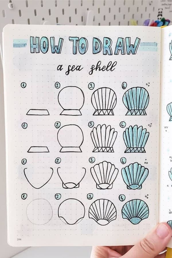 How To Draw Sea Shells