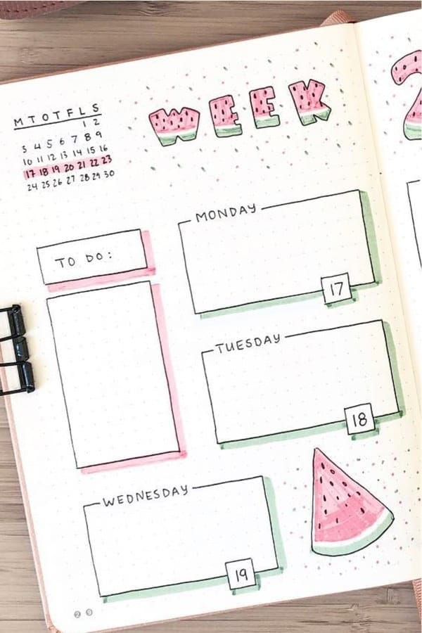 Watermelon Bullet Journal Log