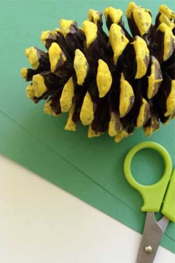 Pinecone Pineapple