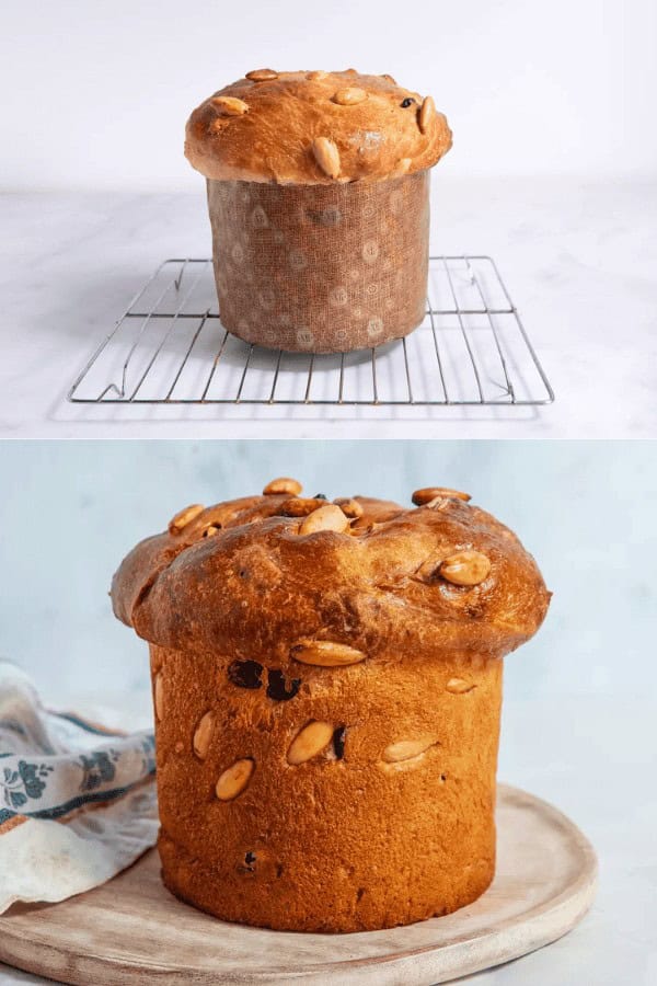 Italian Christmas Panettone