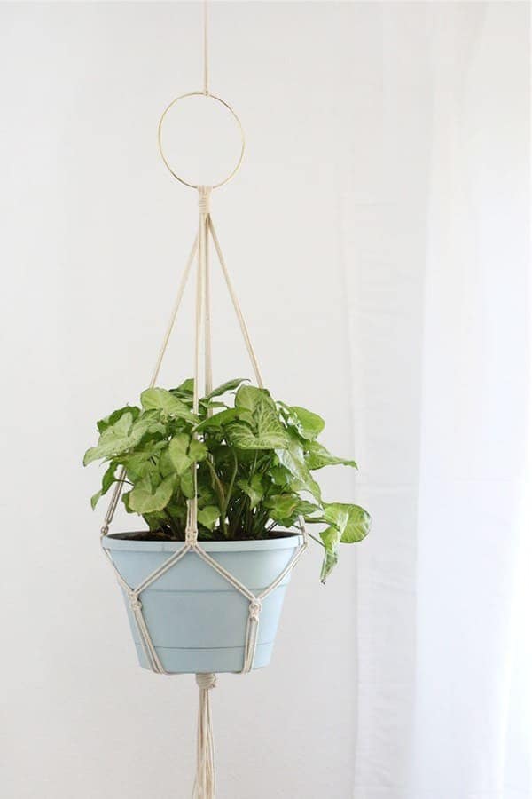 Indoor DIY Macrame Plant Holder