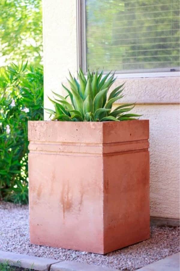 How to Make a Tall Concrete Planter