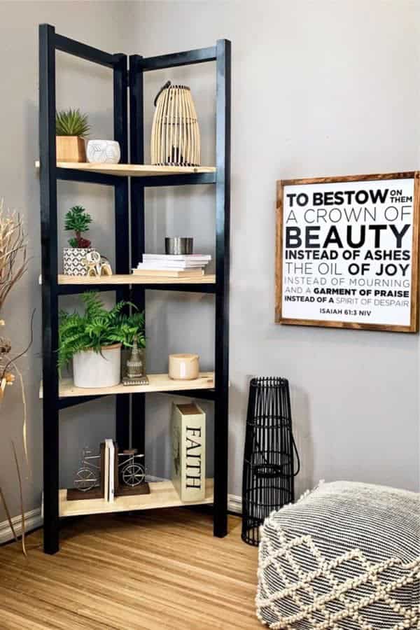 DIY Ladder Bookcase