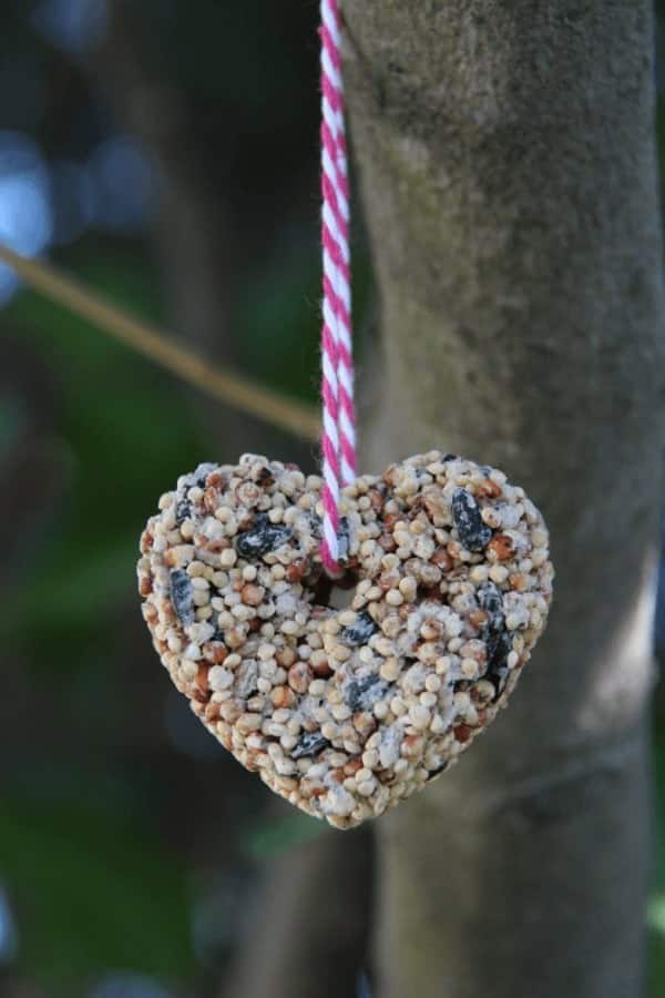 HEART SHAPE BIRD SEED ORNAMENTS