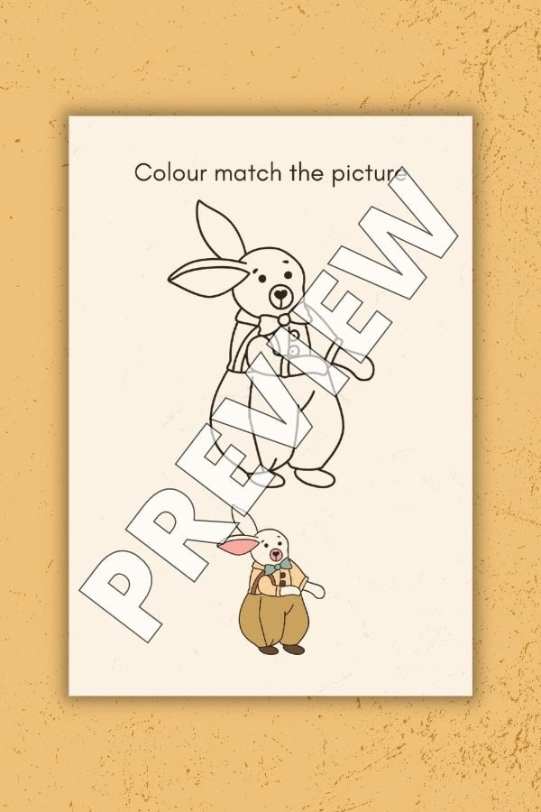 COLOR MATCH BUNNY SHEET