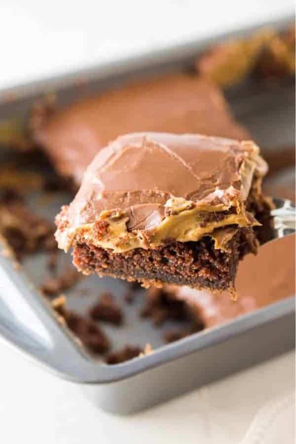 Chocolate Peanut Butter Cake