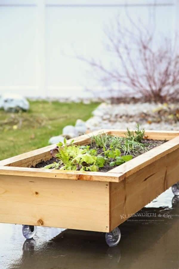 DIY Rolling Planter Box