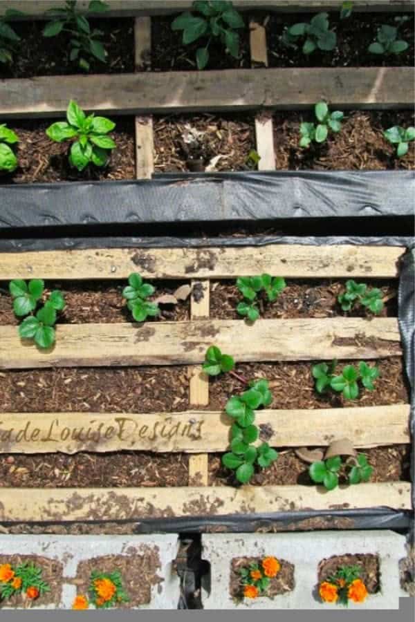 Raised Wood Pallet Garden Bed