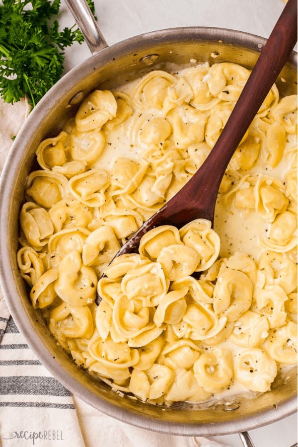 Creamy Cheese Tortellini