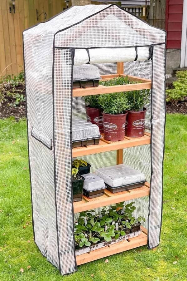 DIY MINI GREENHOUSE