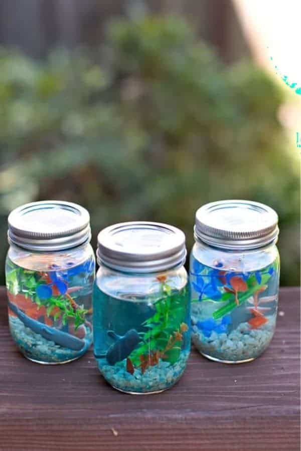 DIY Mason Jar Aquarium