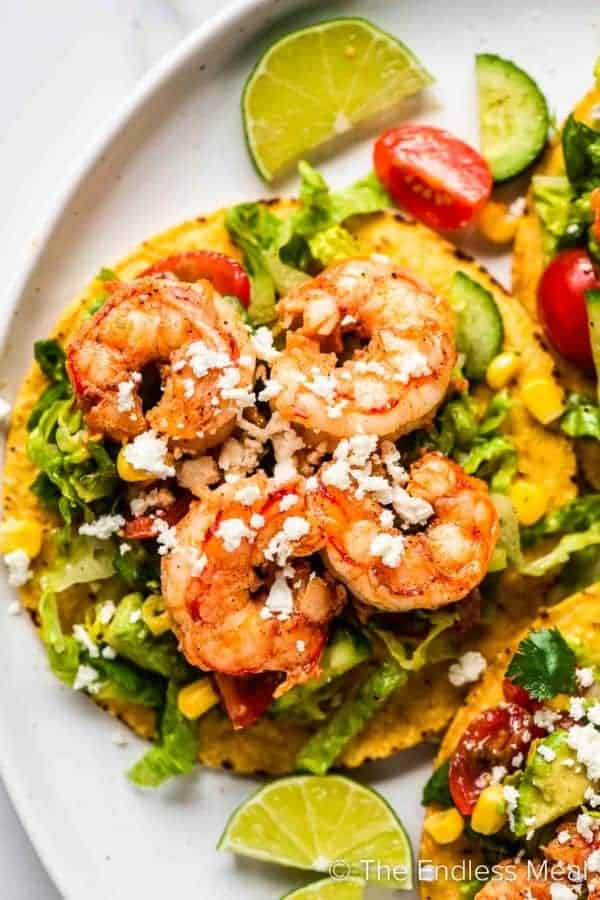 SHRIMP TOSTADAS