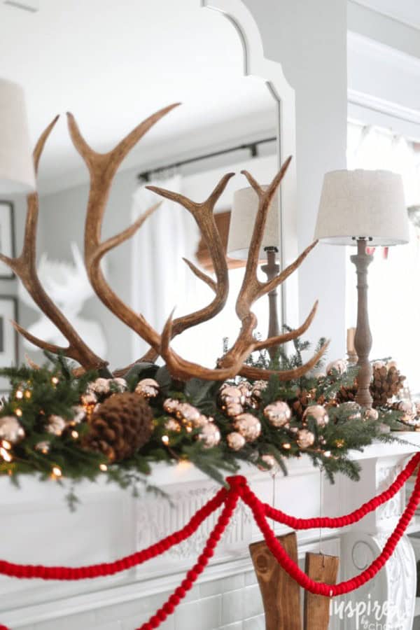 Rustic Antlers