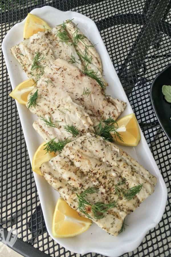 BAVARIAN GRILLED SAND SHARK