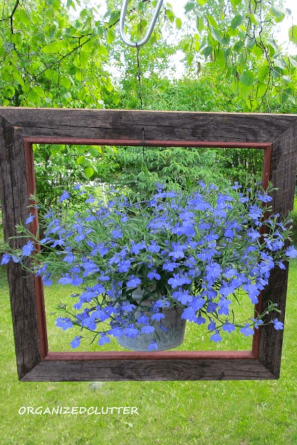 Framed Pots