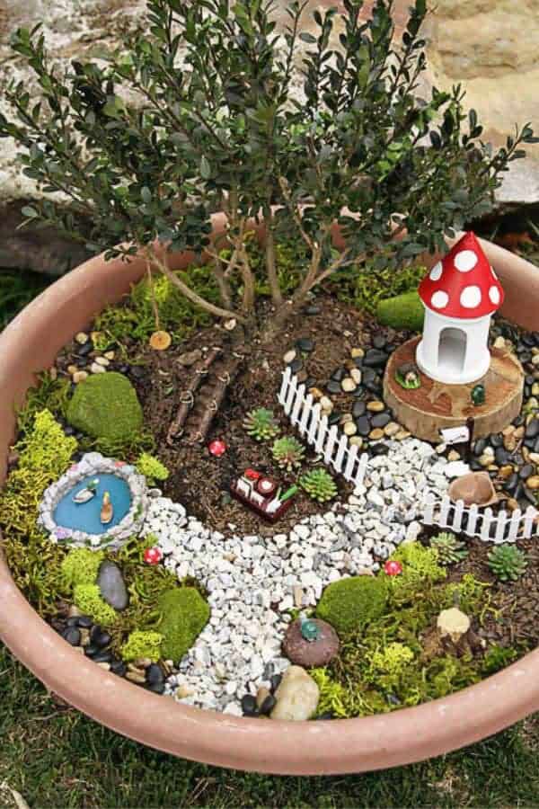 BONSAI FAIRY FOREST