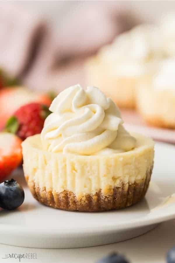 Easy Cheesecake Cupcakes Recipe