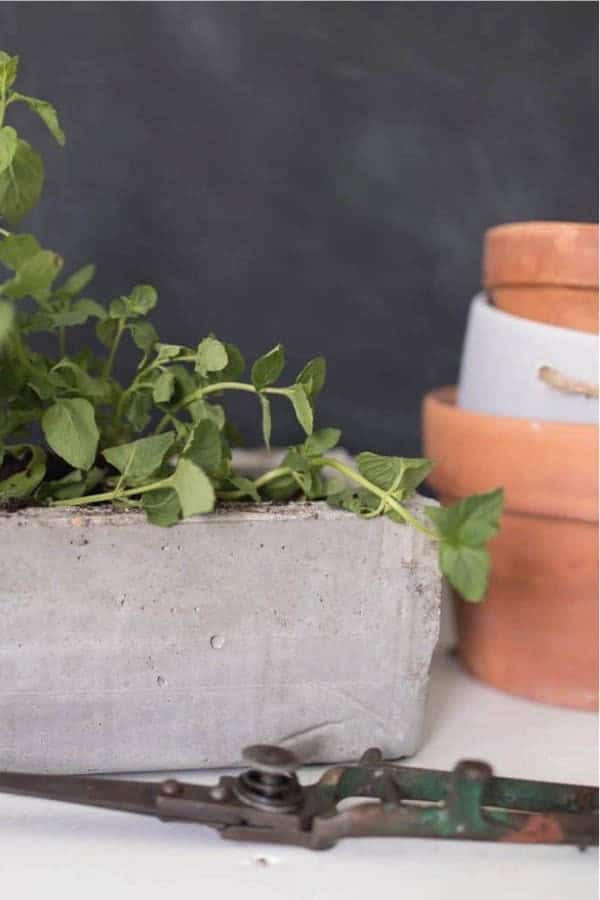 DIY Concrete Planter Box Tutorial