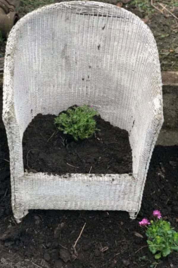 CHAIR PLANTER