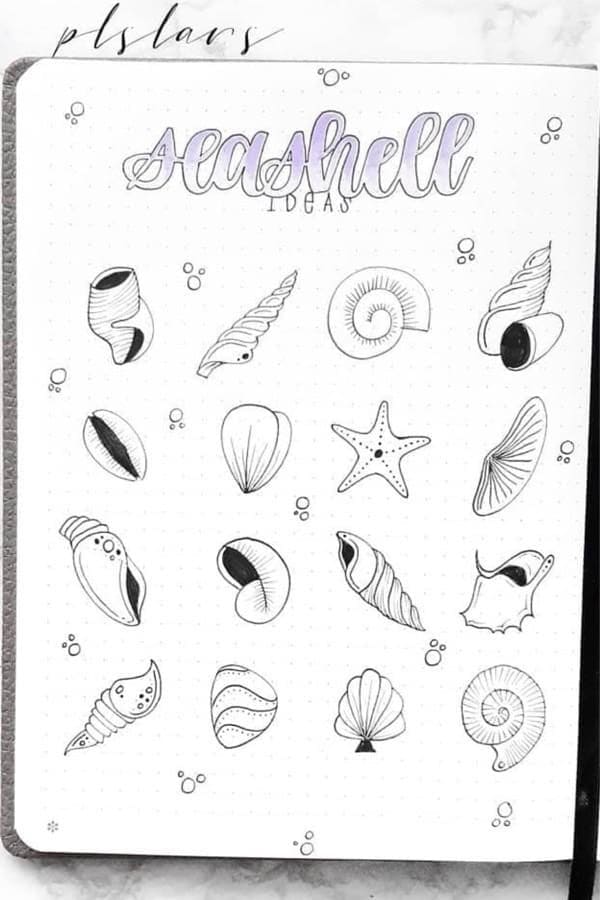 Seashell Drawing Ideas