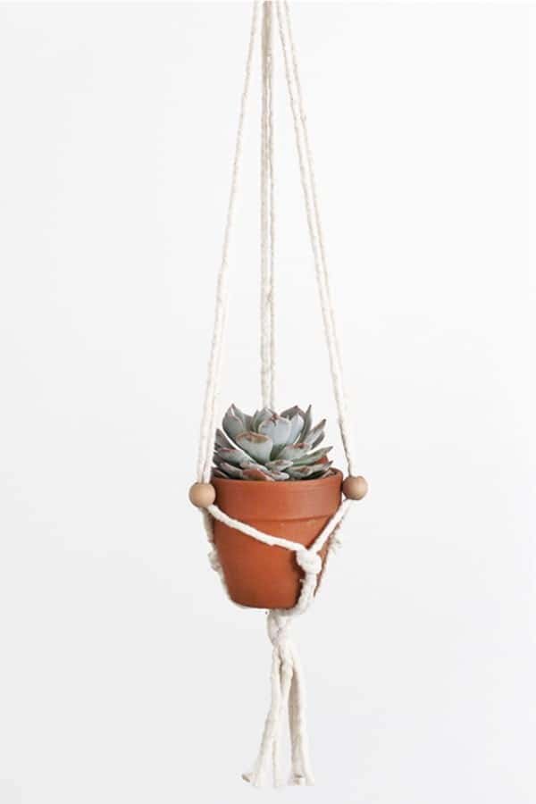 Mini Succulent Hanging Planter