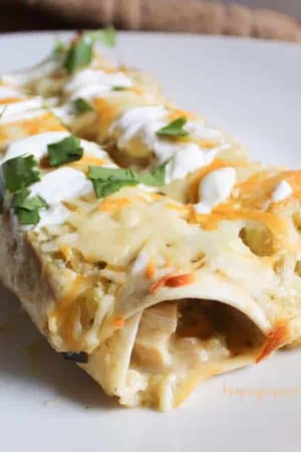 WW CHICKEN ENCHILADAS