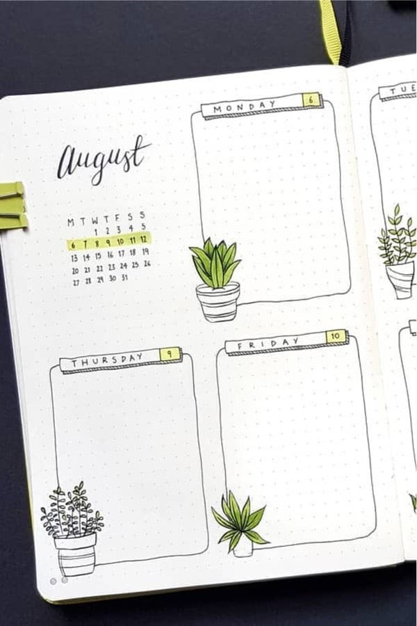 Green August Spread