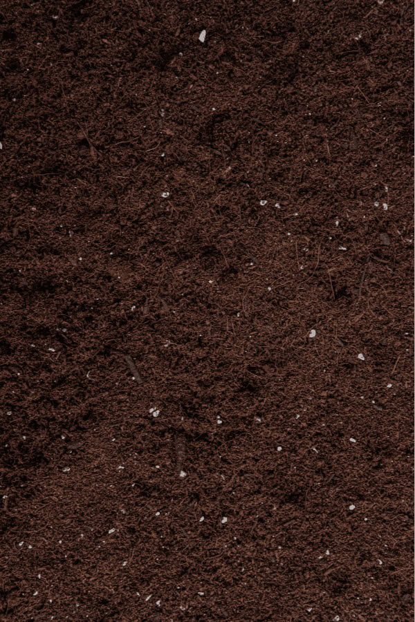 Soil