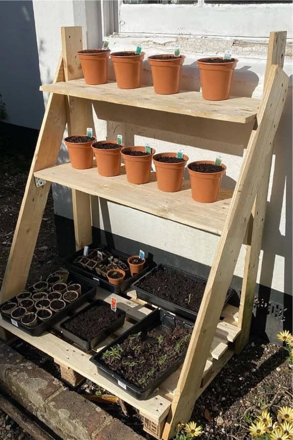 DIY Ladder Plant Holder