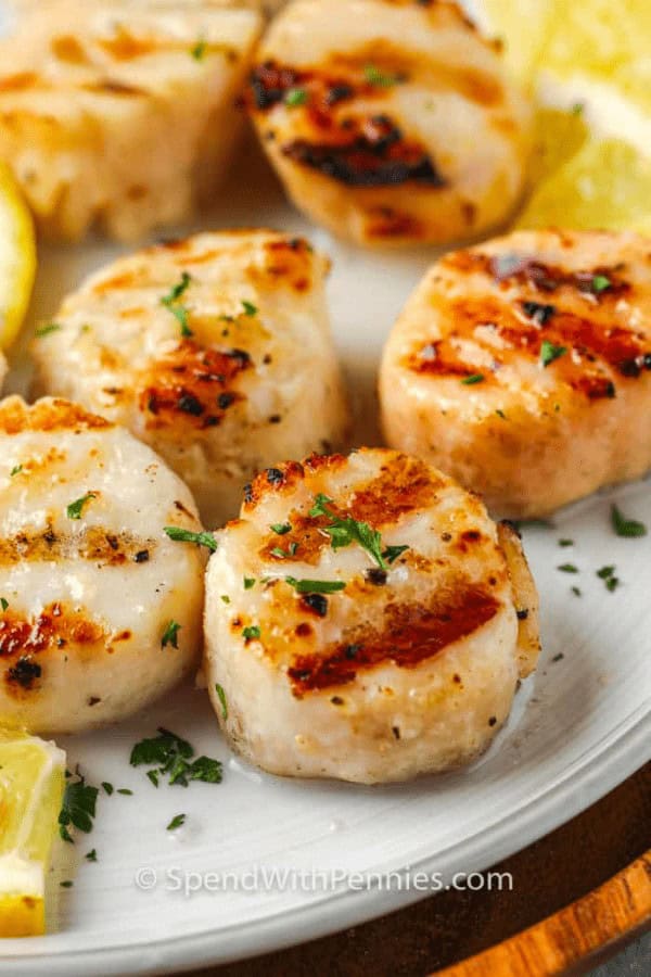 Grilled Scallops