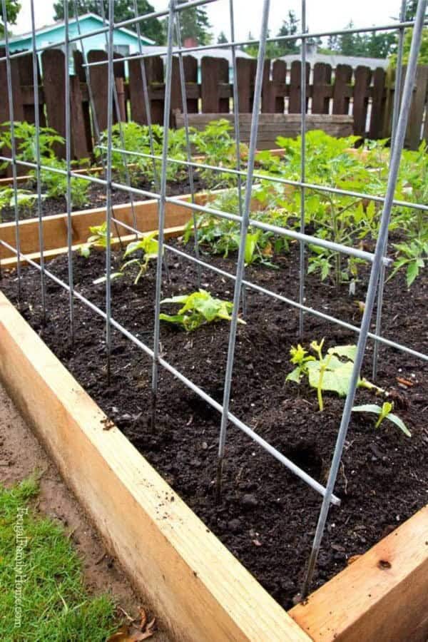 Metal DIY Garden Trellis