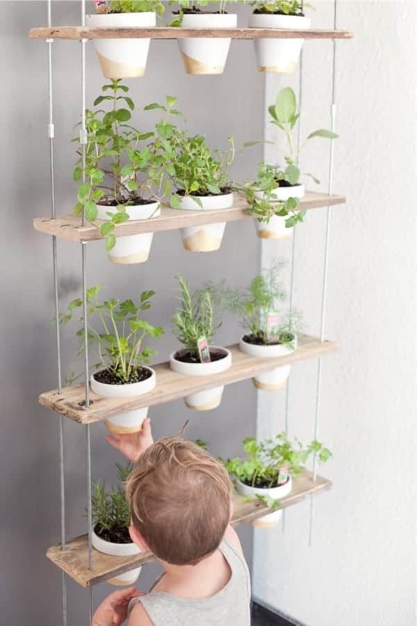 Custom Potted Hanging Herb Garden DIY