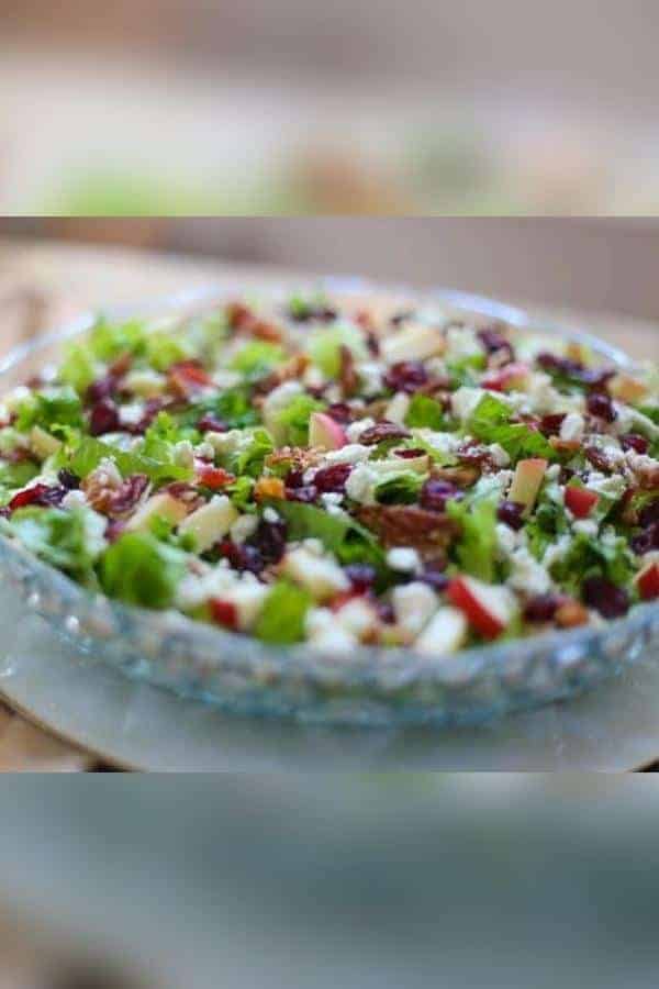 AUTUMN SALAD WITH APPLE CIDER