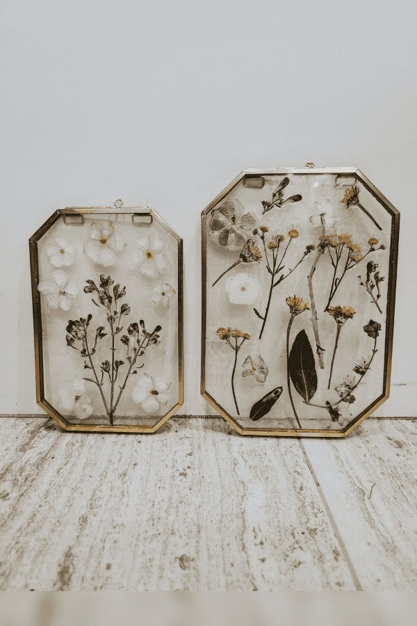 Pressed Flowers Frame