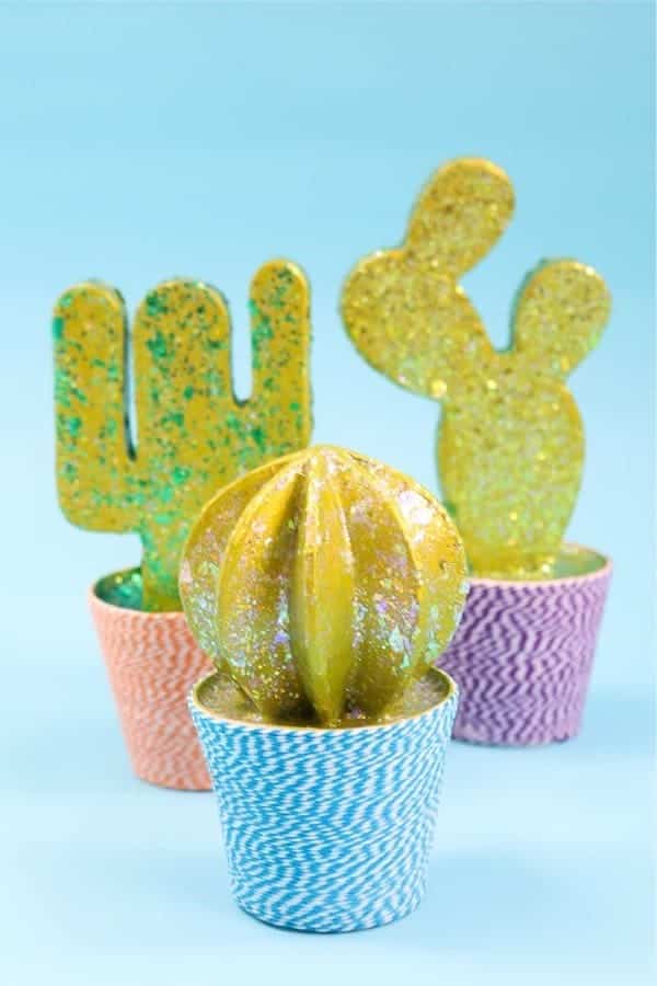 DIY Cactus Craft Project