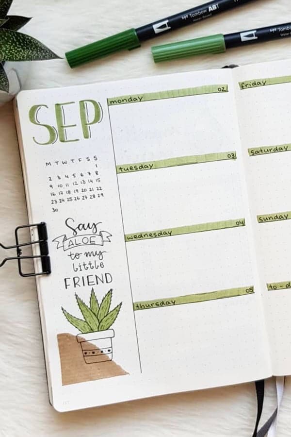 Green September Spread