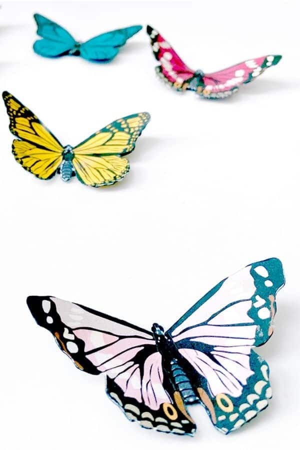 Butterfly Magnets