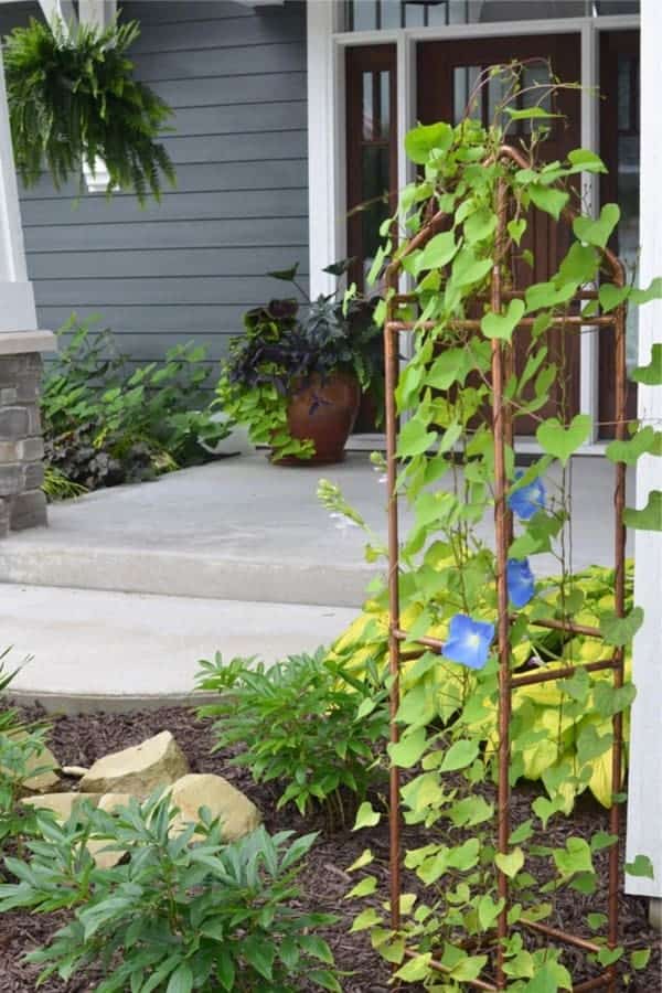 Copper Pipe Trellis