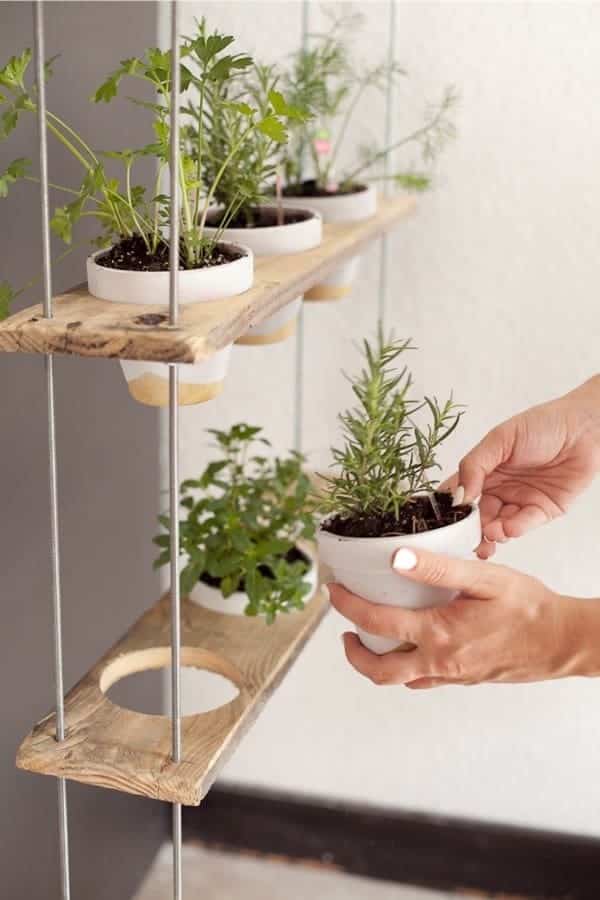 Custom Potted Hanging Herb Garden DIY