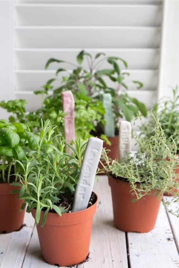 DIY Herb Garden Markers