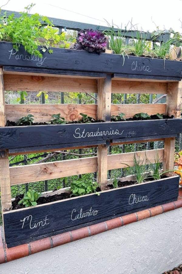 PALLET HERB GARDEN