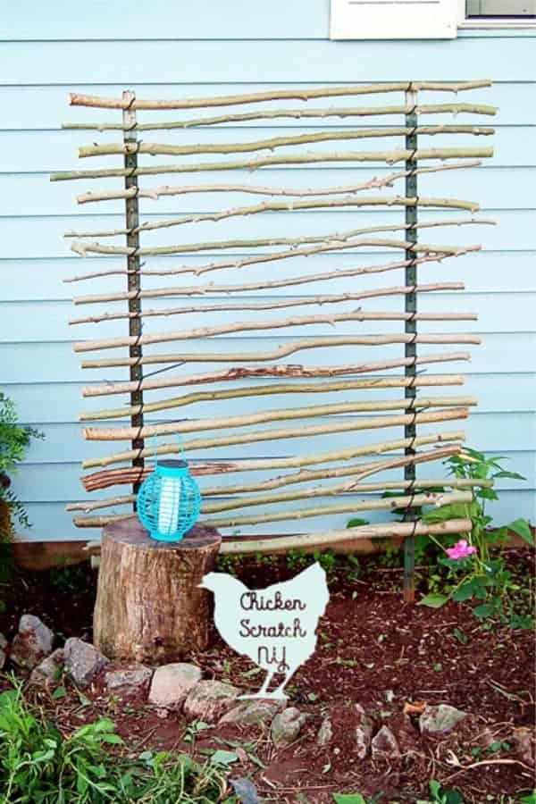 Low-Cost DIY T-Post Trellis