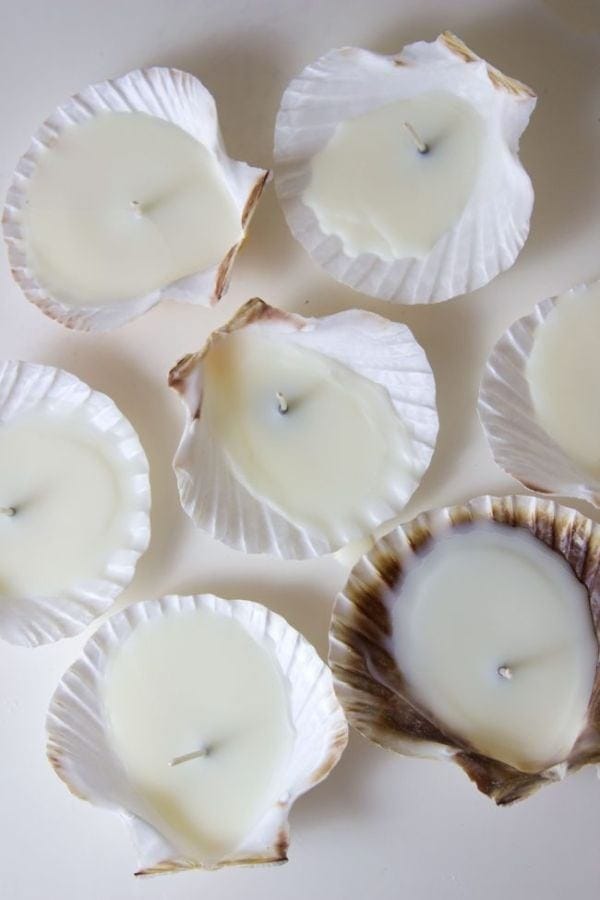 SEASHELL TEA LIGHTS