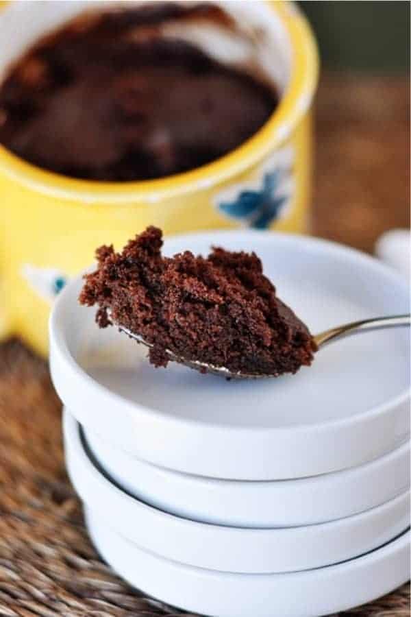 Chocolate Nutella 2 Minute Mug Cake